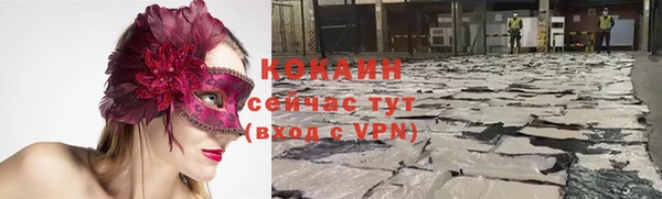 твердый Алексин