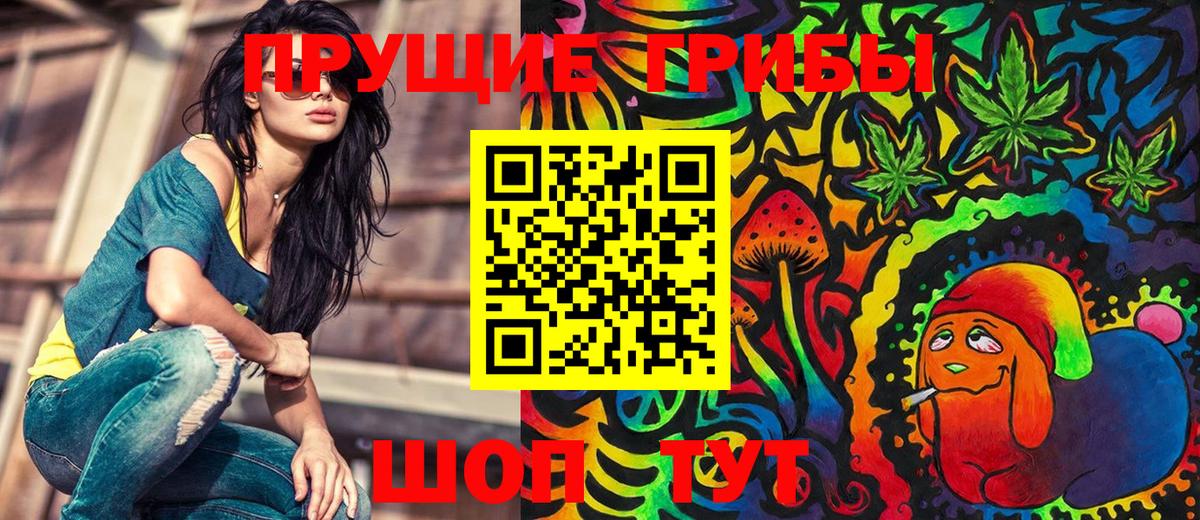 Ржев  Псилоцибиновые грибы Cubensis  Вход с VPN 
