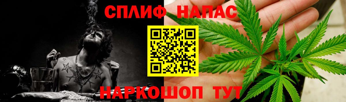 Каннабис план Ржев